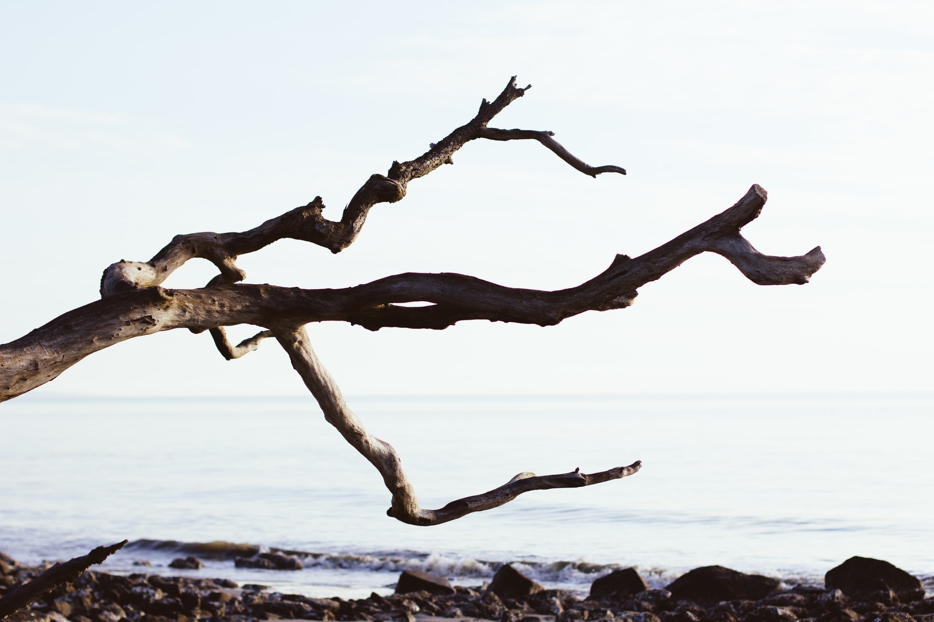 10 Quick Git Command Line Tips